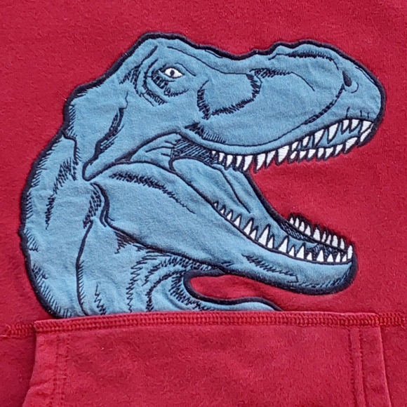 Gymboree dinosaur hoodie 7-8 years - Picture 8 of 15